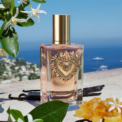 devotion perfume dolce gabbana|dolce and gabbana devotion sample.